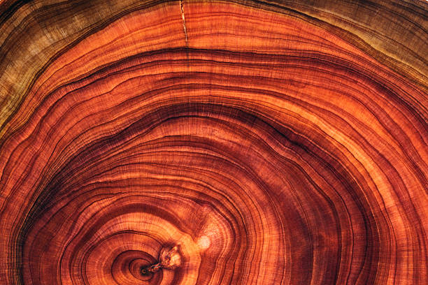 istock Full frame shot of wooden floor 2211138549