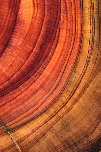 istock Red full frame shot of wooden floor 2211140722