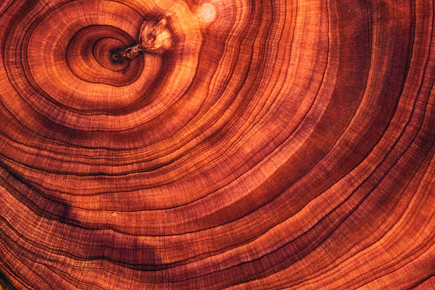 istock Red full frame shot of wooden floor 2211140956