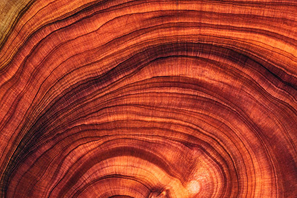 istock Red full frame shot of wooden floor 2211140971