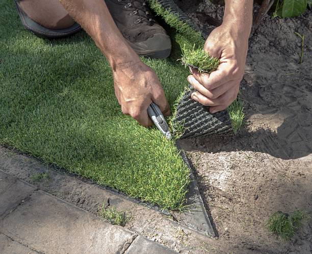 istock Cutting artifical grass with a stanley knife. 2211145933