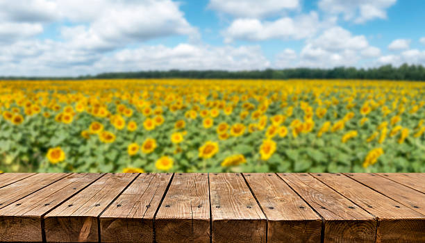 istock Empty old wooden table with sunflowers field in background 2211154169