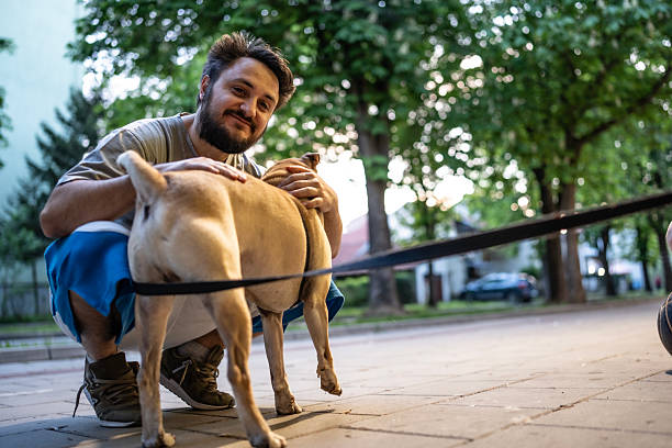 istock Man Enjoying Time with His Dog in a Park Setting 2211154329