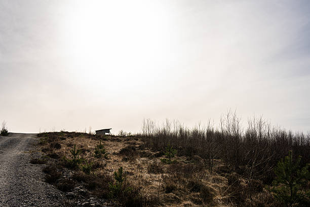 Rural landscape with small shelter under bright sky.