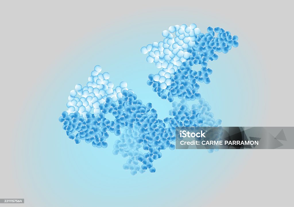 Protein Structure Vector Protein Structure Stock Illustration - Download Image Now - Abstract ...