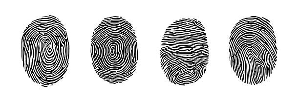 fingerabdrucksymbole eingestellt. einfache, handgezeichnete symbole mit eindeutiger touch-id und individuellen fingerabdrücken zur identifizierung und verifizierung. umriss vektor illustration sammlung - fingerabdruck stock-grafiken, -clipart, -cartoons und -symbole