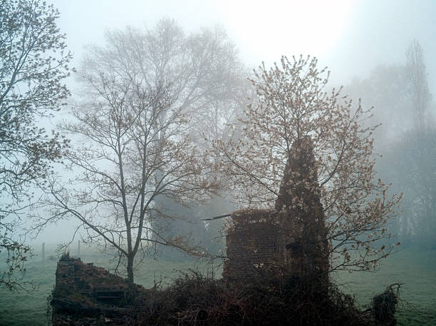 Shrouded in a veil of mist, this scene unveils the remnants of a forgotten past. The ruins emerge gently, their outlines softened by the morning light, creating an atmosphere that is both mysterious and timeless. Each stone carries a silent history, inviting the viewer to imagine the echoes of time and the untold stories lingering within these ancient walls.