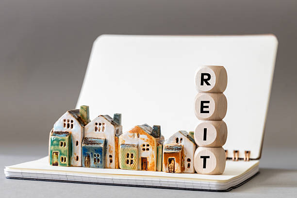 Real Estate Investment Trusts (REITs)