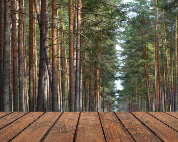 Wooden table top on blurred forest background for product display montage