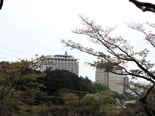 Utsunomiya. City scape.