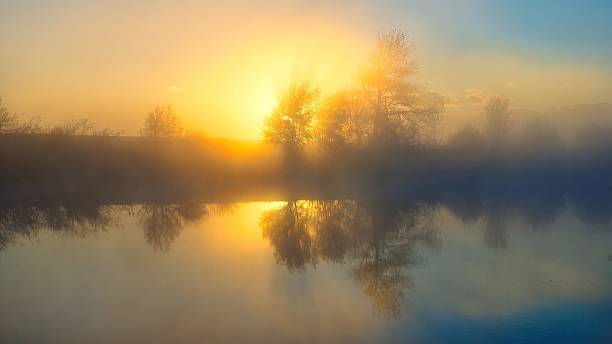 istock Manawatu River Mist Morning Sunrise 2211179194