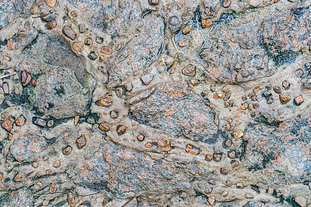 Image shows a close-up view of a layered rock with circular, bubble-like patterns The rock ranges from dark gray at the base to brown and black tones, with lighter areas suggesting layers No text i