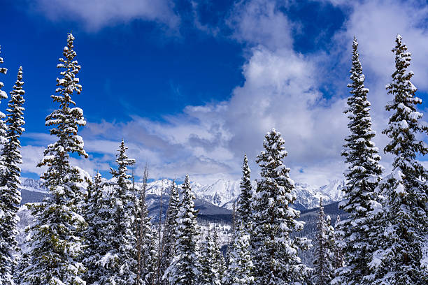 snowy and city landscapes throughout Northern Nevada winter 2024
