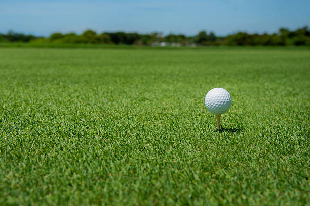 istock Golf ball on a tee, ready for a swing, resting on a vibrant green grass surface under bright sunlight. 2211200803