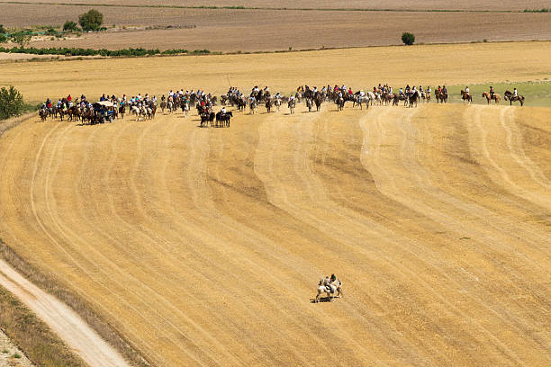 istock Transhumance of cattle in Spain during the summer 2211207715