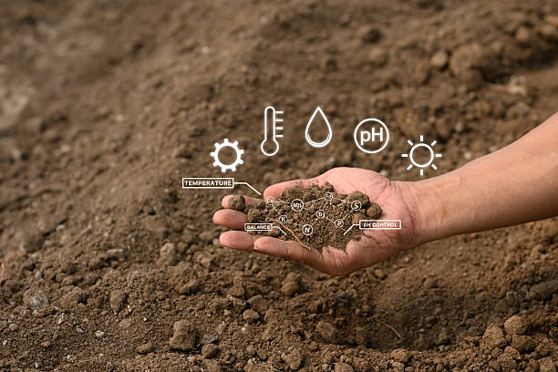 istock Advanced agritech monitoring system analyzing soil properties in modern farming 2211210472