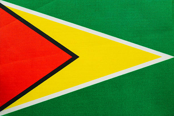 The vibrant flag of Guyana showcases bold colors and a distinctive design. The elements include green, yellow, red, and black, arranged in a triangle pattern.