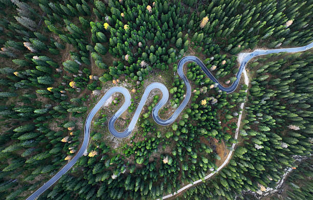 istock Serpentine road between the green forest - aerial view 2211217848