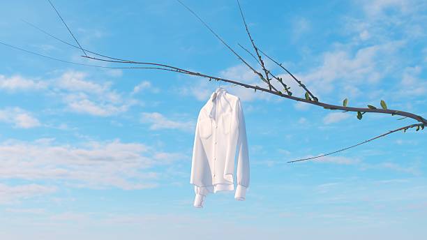 Nature and fabric meet in poetic stillness beneath the open sky.