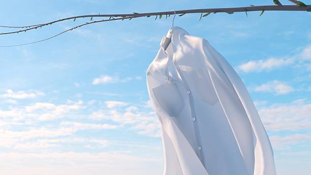 The branch carries a shirt like a forgotten coat rack in the sky. stock photo