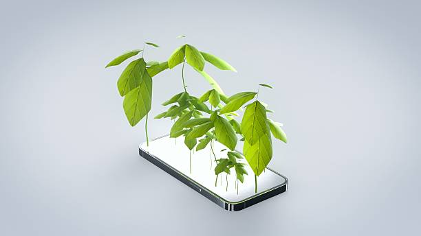 Leaves grow directly from the surface of a smartphone, merging nature with technology.