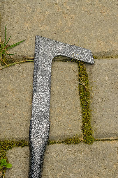 istock Metal hook weeding tool on pavement with moss between paving stones 2211220918