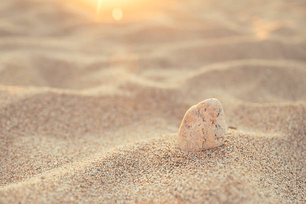 Small rock in fine beach sand in summer, selective focus