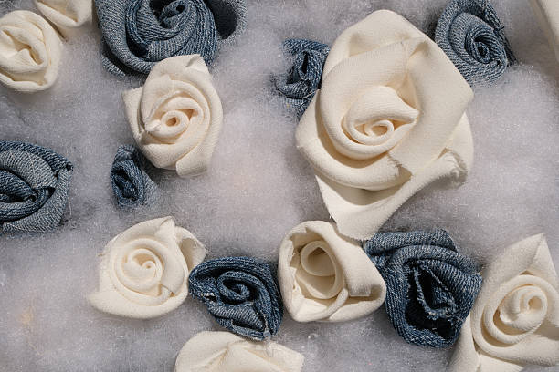 Pink Roses. stock photo