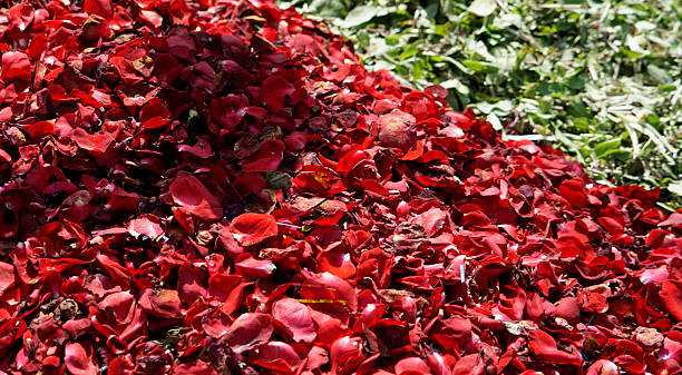 istock vegetable market india 2211228284