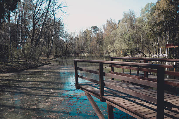 The pontoon. Lake in the forest