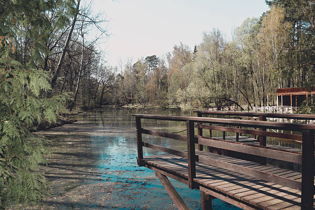 istock The pontoon. Lake in the forest 2211228632