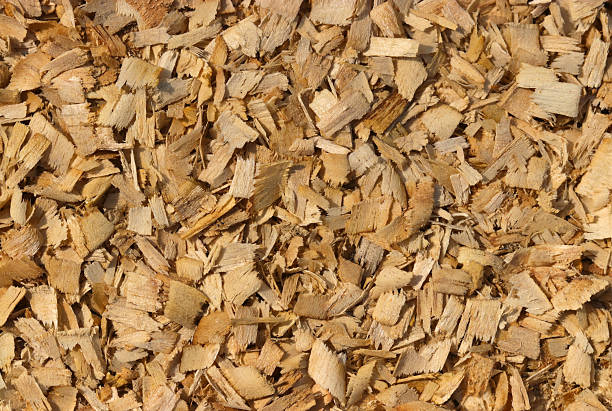 istock Texture of sawdust chips produced when felling oak trees with a gasoline chainsaw. 2211228952