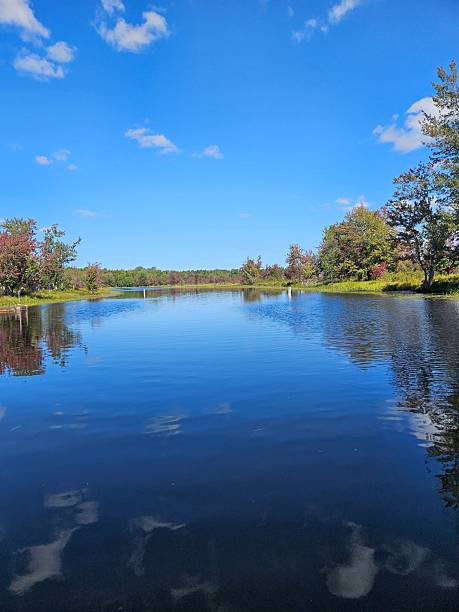 istock Serene lake landscape with clear blue sky. 2211229544
