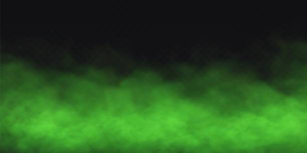 Green Fog effect on transparent dark background. Vector Smoke cloud. Green Fog effect on transparent dark background. Vector Smoke cloud halloween background stock illustrations