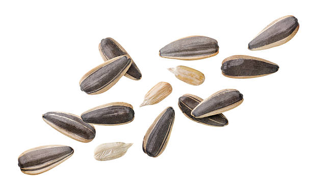 istock Sunflower seeds and kernels flying close-up a on white. Isolated 2211231274