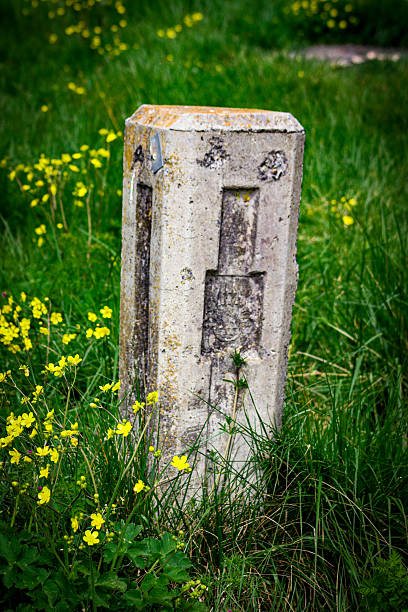 istock Tombstone or boundary stone among yellow flowers and grass 2211235524