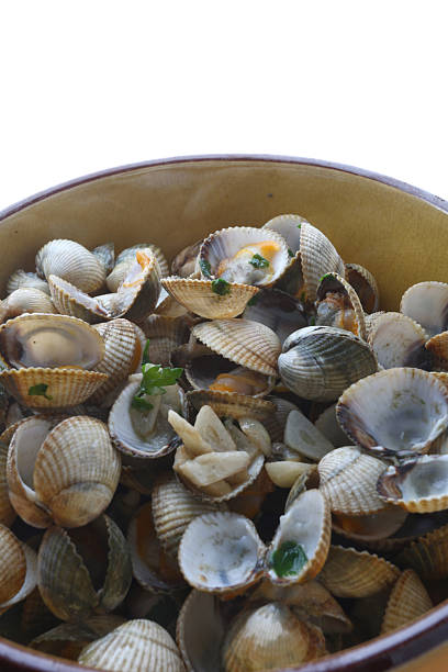 istock fresh cockles as seafood aperitive 2211235857