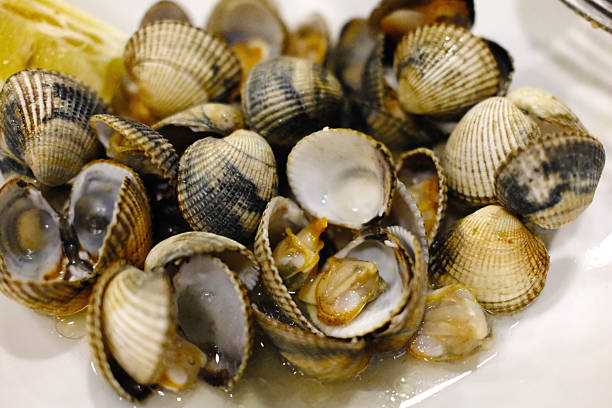 cockles as seafood aperitive starter