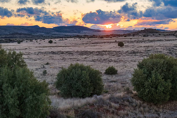 istock African Wilderness at Sunset with Shrubland 2211236002