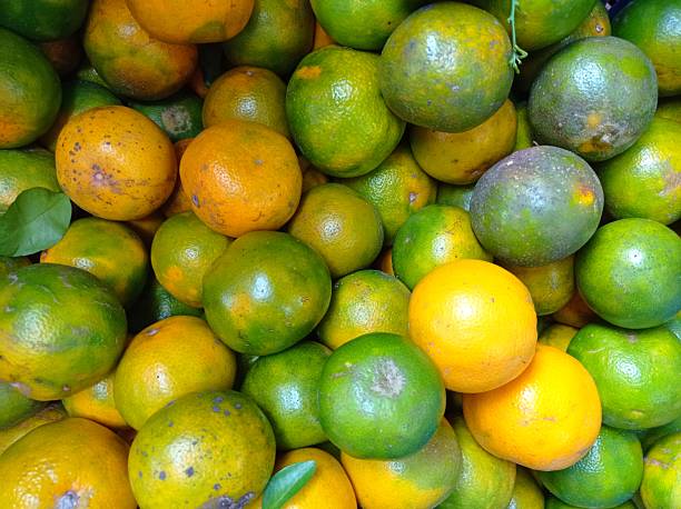 Fresh Oranges On a Market Stall