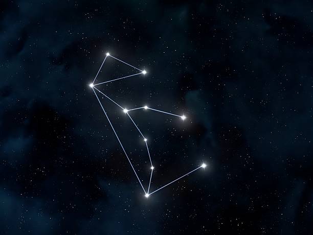 istock Lupus the wolf constellation in the night sky. 2211239411