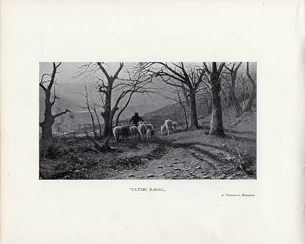 This is an image belonging to what we can consider a chapter of twentieth-century Italian publishing: the “Albi di Novissima” and the “Quaderni di Novissima”, created by the Florentine entrepreneur Edoardo de Fonseca and his son Giorgio. In 1901, Edoardo founded the precious annual magazine “Novissima. Albo d'Arti e Lettere” which published texts and illustrations by many famous writers such as Pascoli, Giacosa, De Amicis, Martini, Capuana, Marradi, Di Giacomo, Rovetta, Fucini, Ricci, Biagi, Gargàno, Sodini, Rasi, and painters such as Giorgio Kienerk, Aleardo Terzi, Duilio Cambellotti, Plinio Nomellini, Metlicovitz or Hohenstein for example, while Giorgio, in the 1930s, created, in collaboration with the famous poet Giuseppe Ungaretti and the journalist Rafaele Contu, an important book series called “Quaderni di Novissima”. This collection contains numerous works by important Italian and foreign writers.