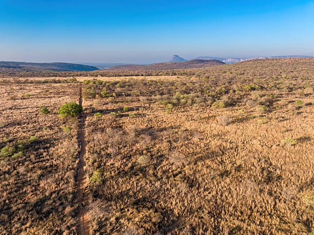 istock Path Through the South African Savannah 2211249079