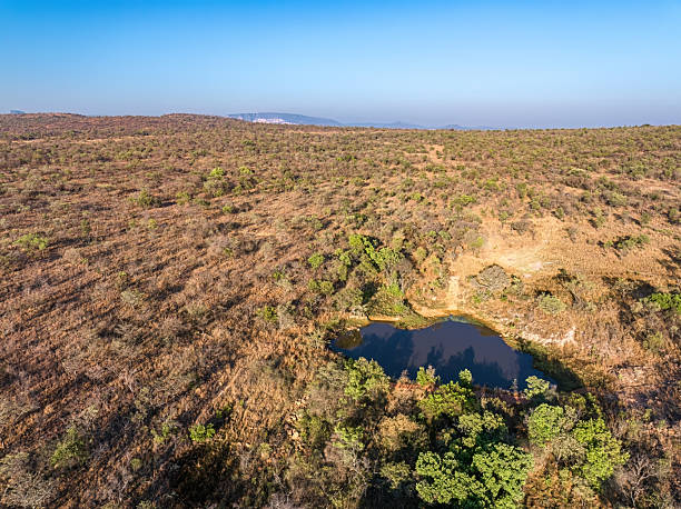 istock Waterhole in South Africa’s Bushveld 2211249104