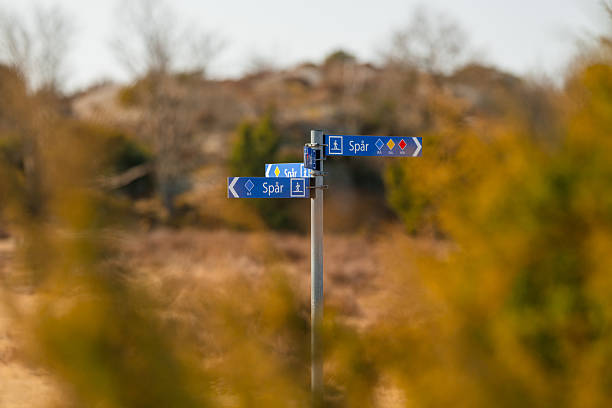 Directional trail signpost with blue arrows.
