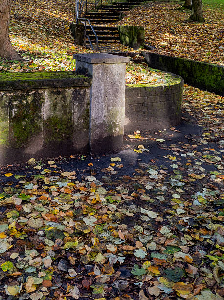 istock Autumn Foliage in Glasgow, Scotland, UK 2211257860