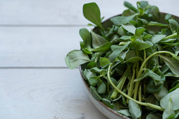 Purslane, vegetable food