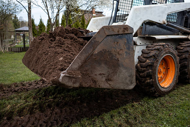 istock White Skid Steer Loader with Orange Wheels on Grassy Area 2211258438
