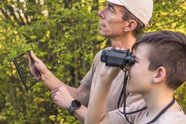 Birding. Father and son observing birds using binoculars and learning about them on digital tablet. Family time at weekend searching for birds or birdwatching in forest in late afternoon.