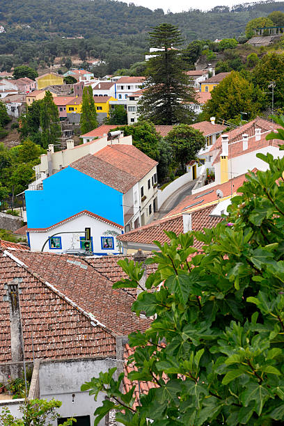 istock monchique algarve portugal 2211259788